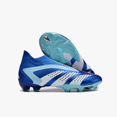 ADIDAS PREDATOR ACCURACY (FG)